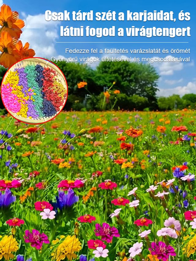 【Négyszezonos virágzás】Virágmező magkeverék