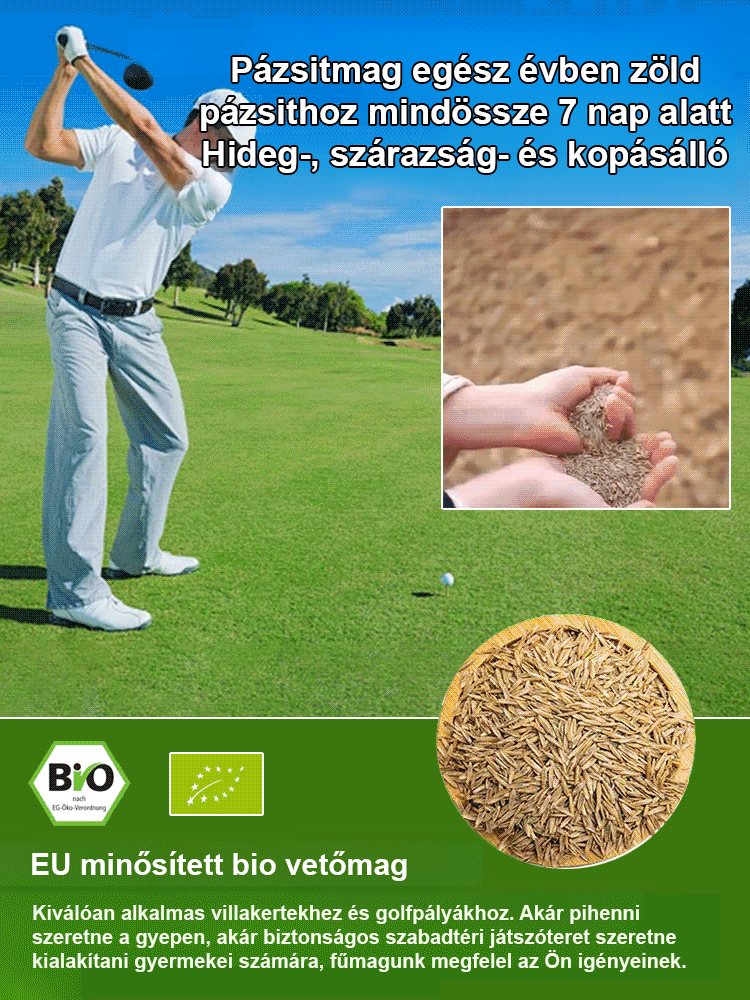 7 napos, gyorsan növő zöld fű egész évben