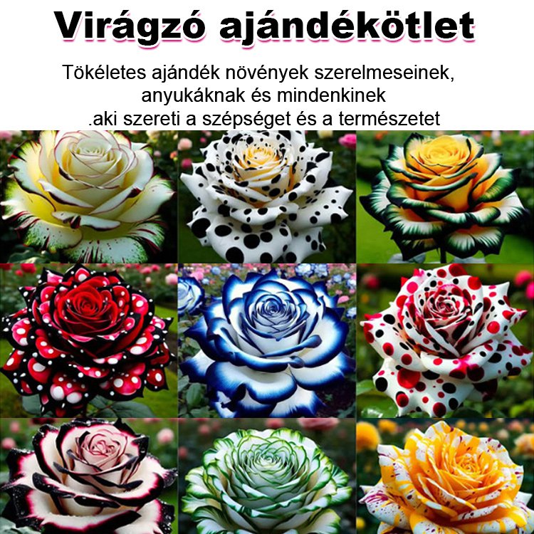 Többfejű foltos rózsa magok