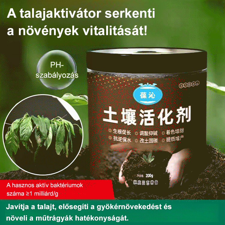 [Tiktok Hot Style] Holtfa virágzás-talajaktivátor-kondicionálás